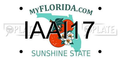 IAAI17 Florida License Plate
