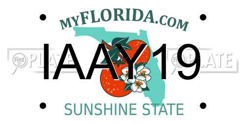 IAAY19 Florida License Plate
