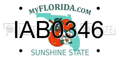 IAB0346 Florida License Plate