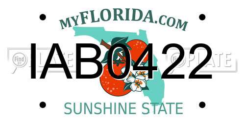 IAB0422 Florida License Plate