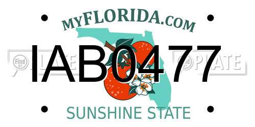 IAB0477 Florida License Plate