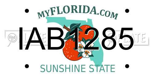 IAB1285 Florida License Plate
