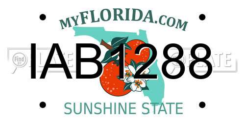 IAB1288 Florida License Plate