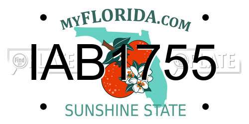 IAB1755 Florida License Plate