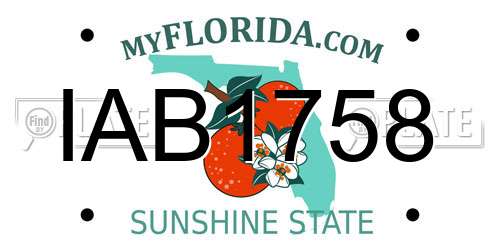 IAB1758 Florida License Plate