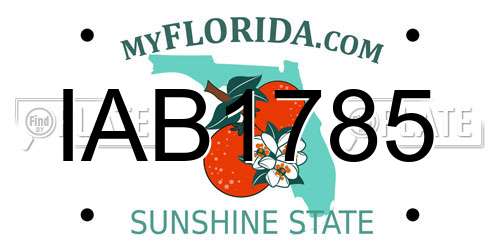 IAB1785 Florida License Plate