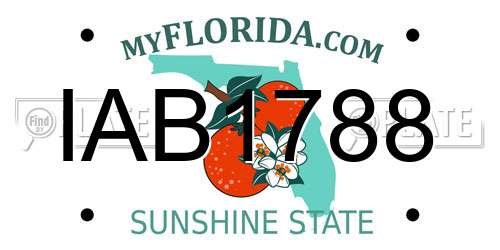 IAB1788 Florida License Plate