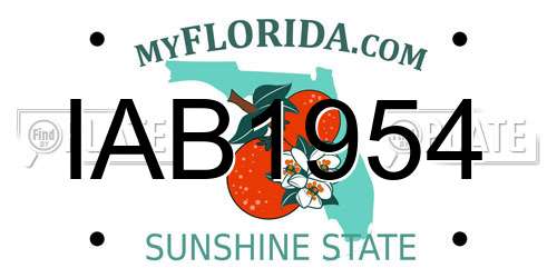 IAB1954 Florida License Plate