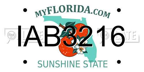 IAB3216 Florida License Plate