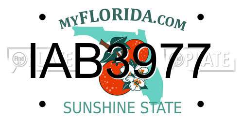 IAB3977 Florida License Plate