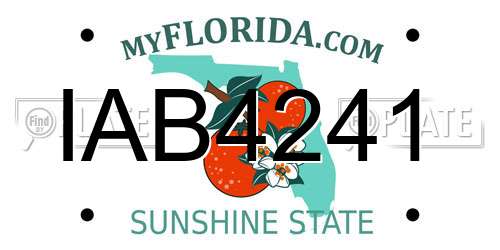 IAB4241 Florida License Plate