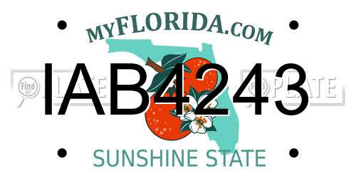 IAB4243 Florida License Plate
