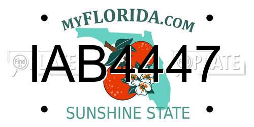 IAB4447 Florida License Plate