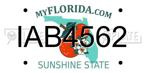 IAB4562 Florida License Plate