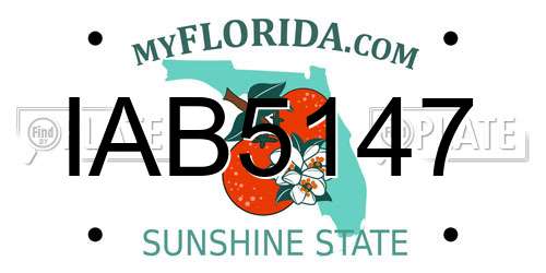 IAB5147 Florida License Plate