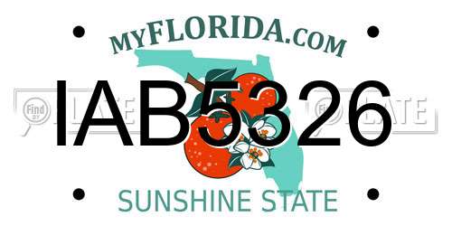 IAB5326 Florida License Plate