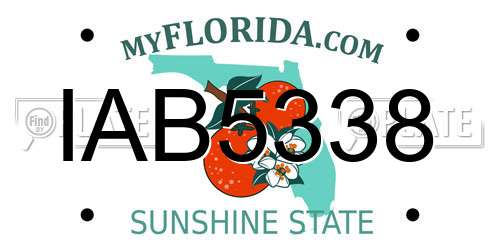 IAB5338 Florida License Plate