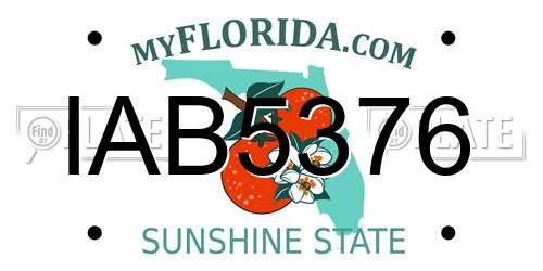 IAB5376 Florida License Plate