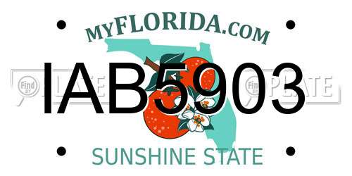 IAB5903 Florida License Plate