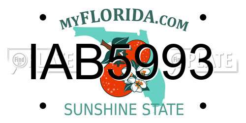 IAB5993 Florida License Plate