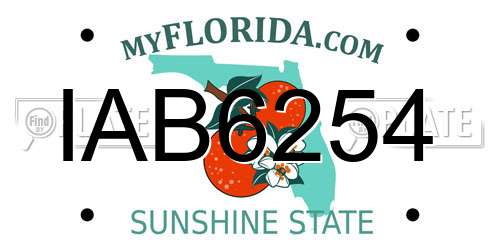 IAB6254 Florida License Plate