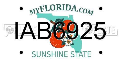 IAB6925 Florida License Plate