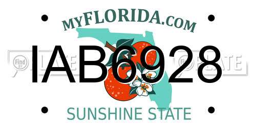 IAB6928 Florida License Plate