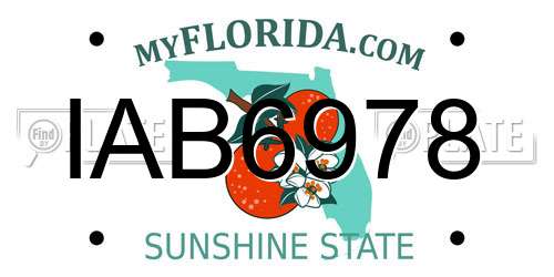 IAB6978 Florida License Plate