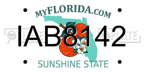 IAB8142 Florida License Plate
