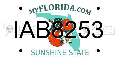 IAB8253 Florida License Plate