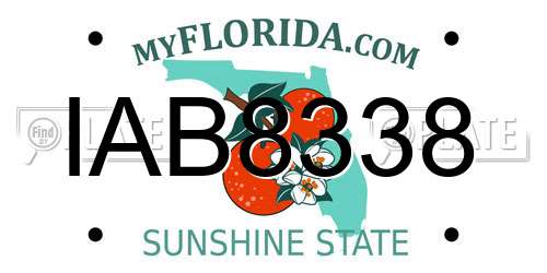 IAB8338 Florida License Plate
