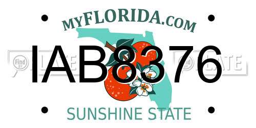IAB8376 Florida License Plate