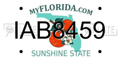 IAB8459 Florida License Plate