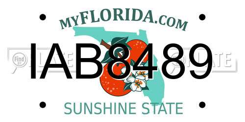 IAB8489 Florida License Plate