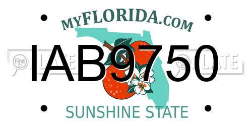 IAB9750 Florida License Plate