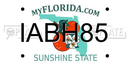 IABH85 Florida License Plate