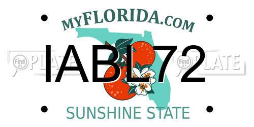 IABL72 Florida License Plate