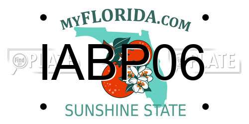IABP06 Florida License Plate