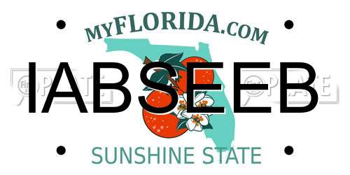 IABSEEB Florida License Plate
