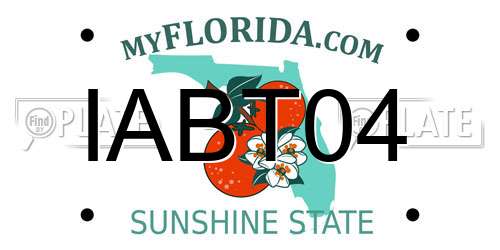 IABT04 Florida License Plate