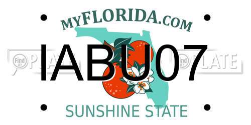 IABU07 Florida License Plate