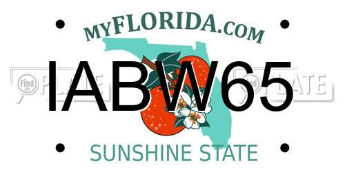 IABW65 Florida License Plate