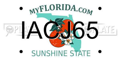 IACJ65 Florida License Plate