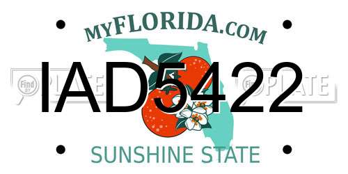 IAD5422 Florida License Plate