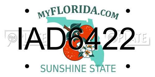 IAD6422 Florida License Plate