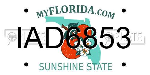 IAD6853 Florida License Plate