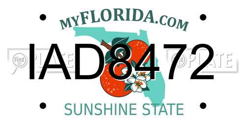 IAD8472 Florida License Plate
