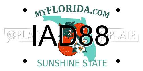 IAD88 Florida License Plate