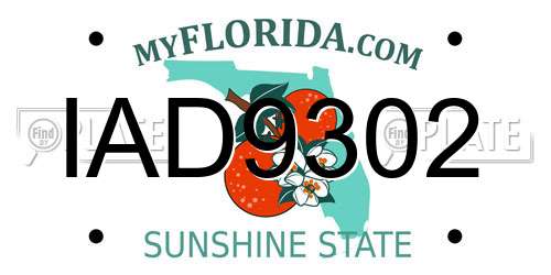 IAD9302 Florida License Plate
