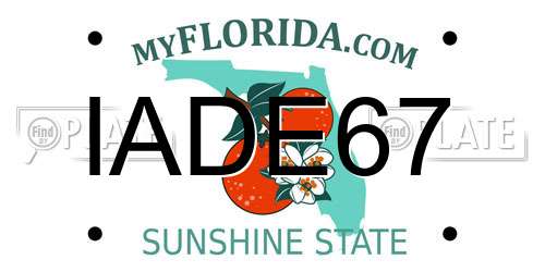 IADE67 Florida License Plate